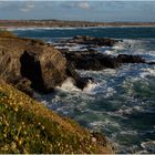 Cornish Coast