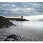 Cornish Coast from Billers