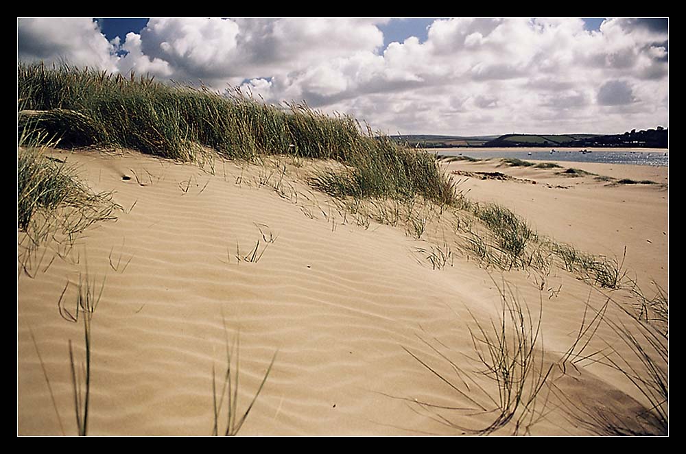 Cornish Dunes