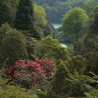 Cornish garden