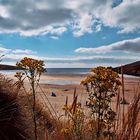 [Cornish Landscapes #11: Crantock Beach]