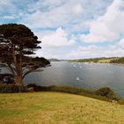 [Cornish landscapes #2: Helford River]