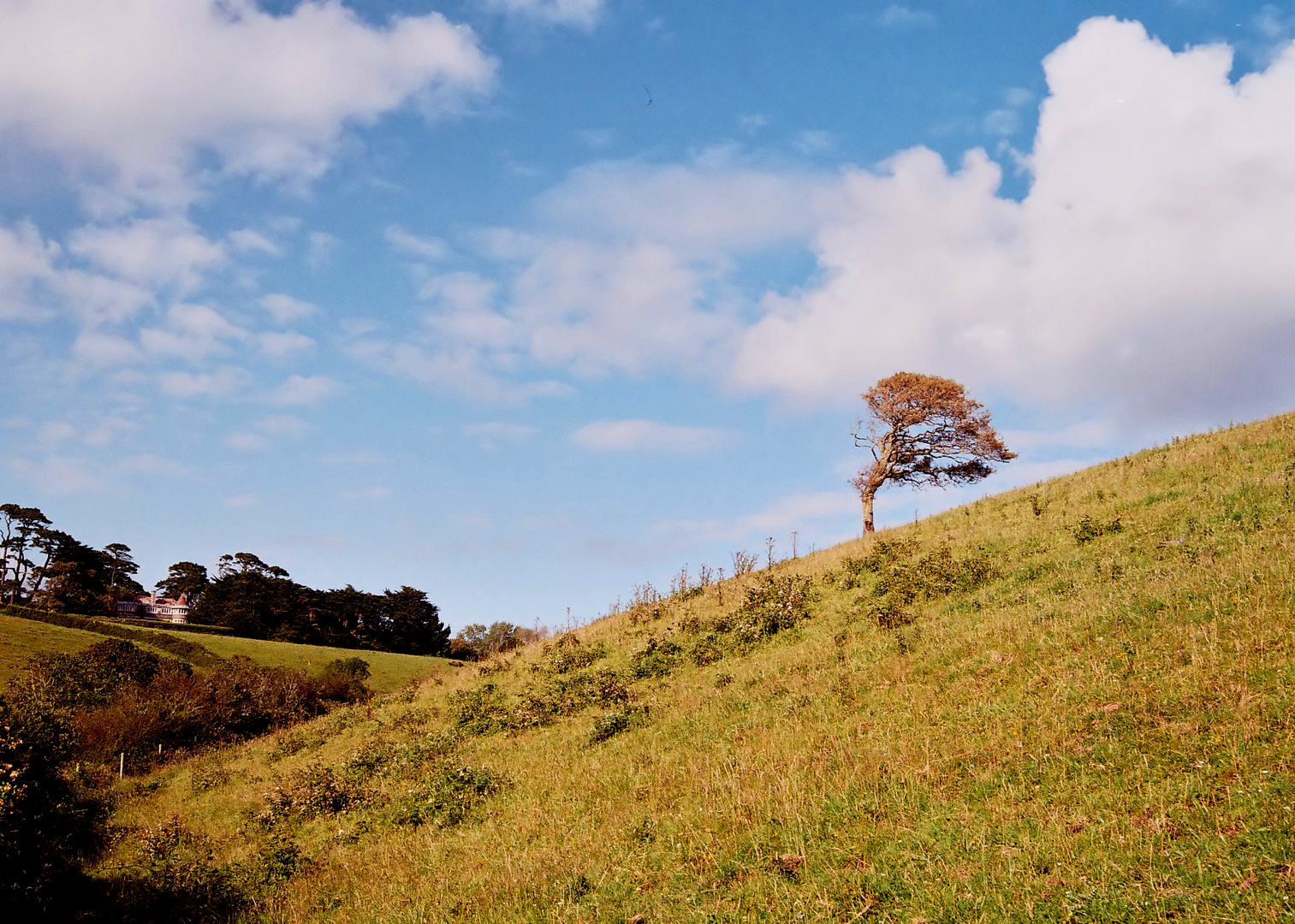 [Cornish landscapes #6: Trerose]