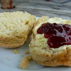 Cornish scones with clotted cream and marmelade