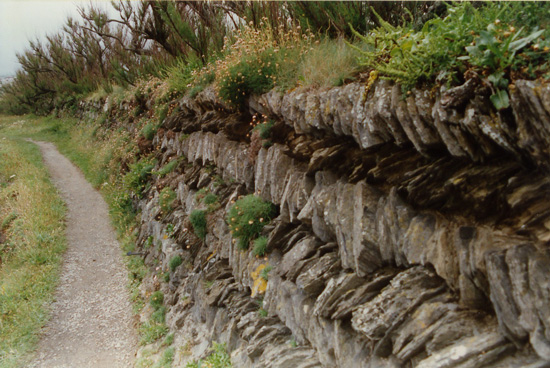 Cornish Wall