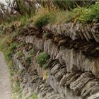 Cornish Wall