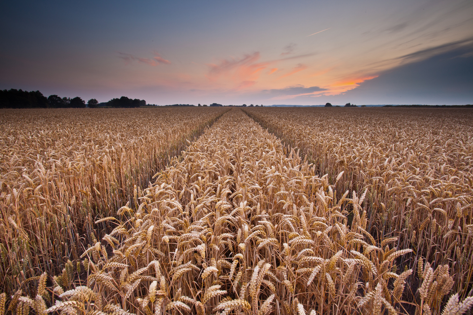 Corntracks