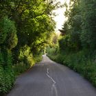 Cornwall (30) - Motorway