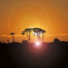 Cornwall - Afrikanische Atmosphäre