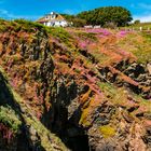 Cornwall Coast