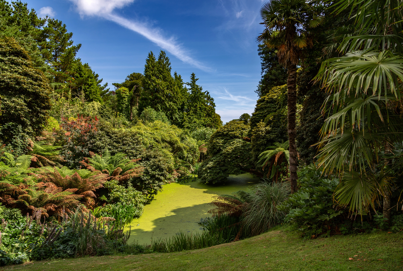 Cornwall - Lost Gardens of Heligan