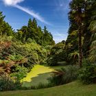 Cornwall - Lost Gardens of Heligan