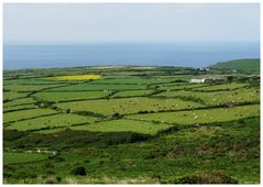 Cornwall......Rosamunde Pllcher lässt grüssen