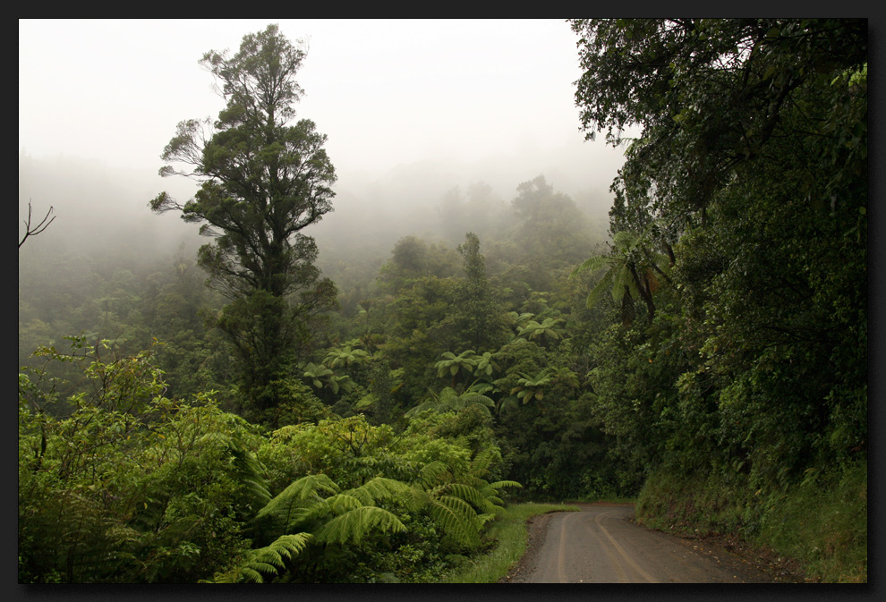 Coroglen Road..