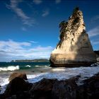 ~ Coromandel ~