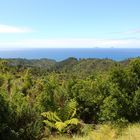 Coromandel