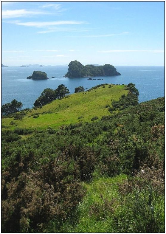 Coromandel