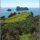 Coromandel