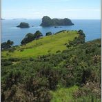 Coromandel