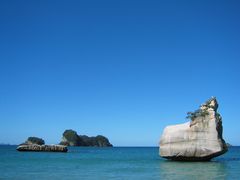 coromandel