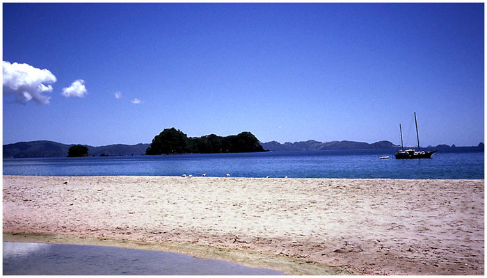 Coromandel