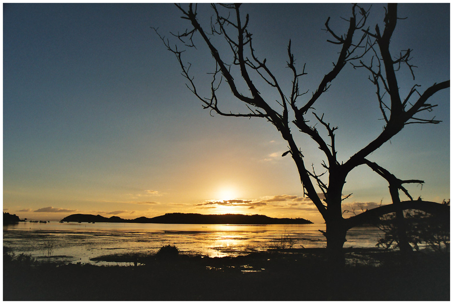 coromandel