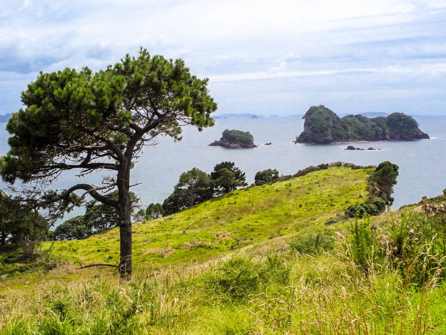 Coromandel Coast