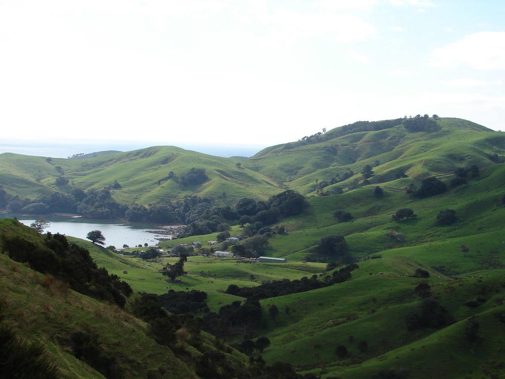 Coromandel