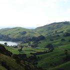 Coromandel