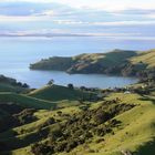 Coromandel