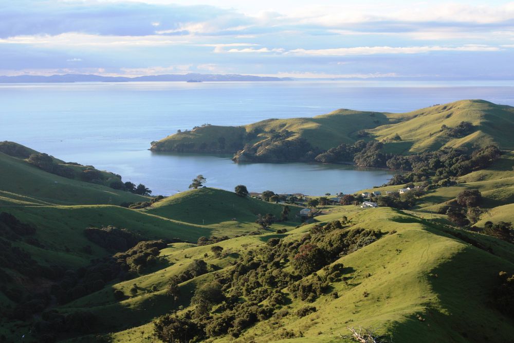 Coromandel