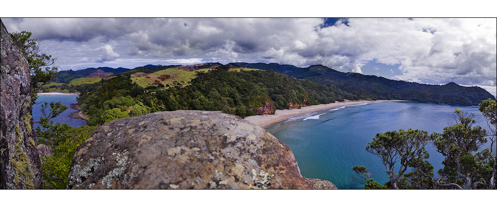 Coromandel Framing