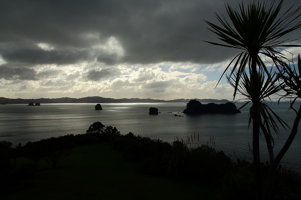 Coromandel Halbinsel 2