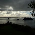 Coromandel Halbinsel 2