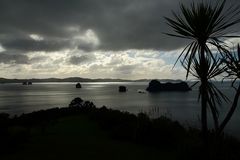 Coromandel Halbinsel 2