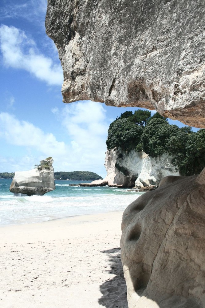 Coromandel, ich möchte nochmal dorthin zurück