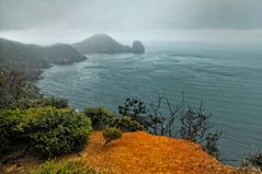 Coromandel, New Zealand