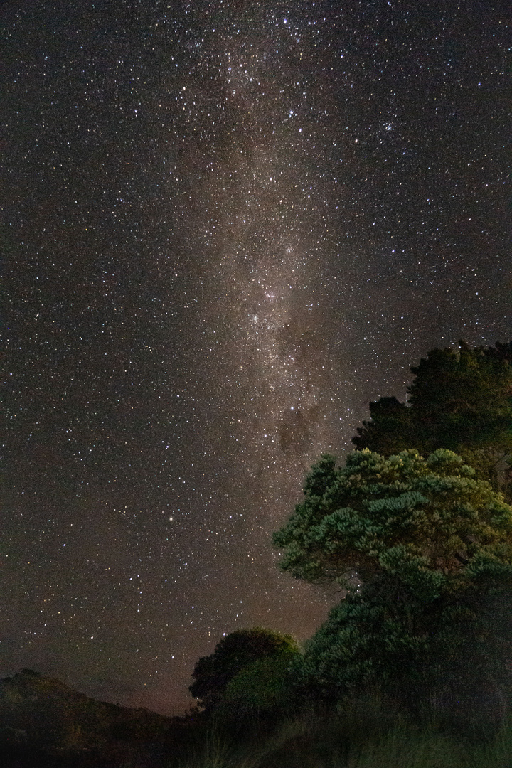 Coromandel Night