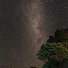 Coromandel Night