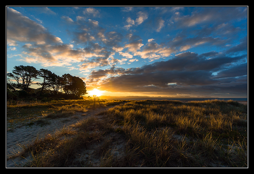 Coromandel NZ