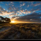 Coromandel NZ