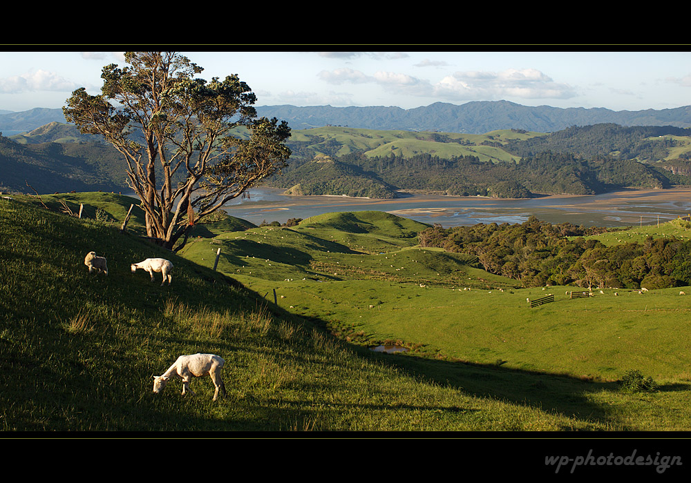 Coromandel Peninsula