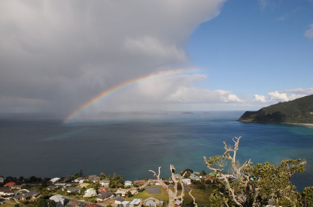 Coromandel Rainbow