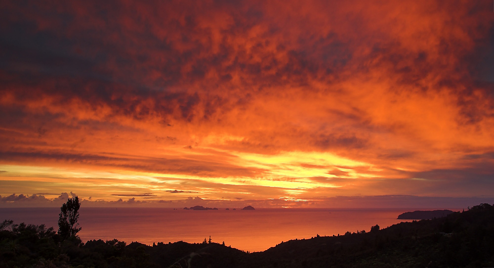 Coromandel Sunrise