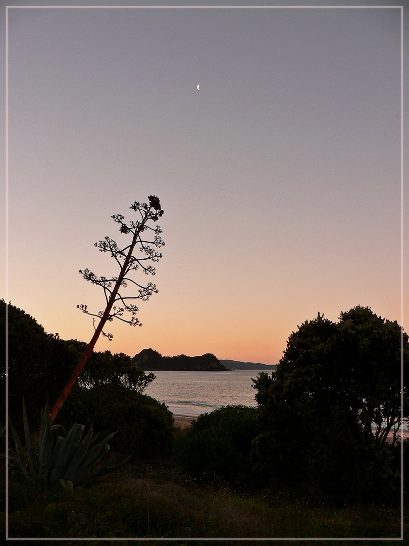 Coromandel Sunset