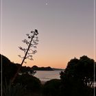 Coromandel Sunset