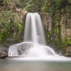 Coromandel Waterfall