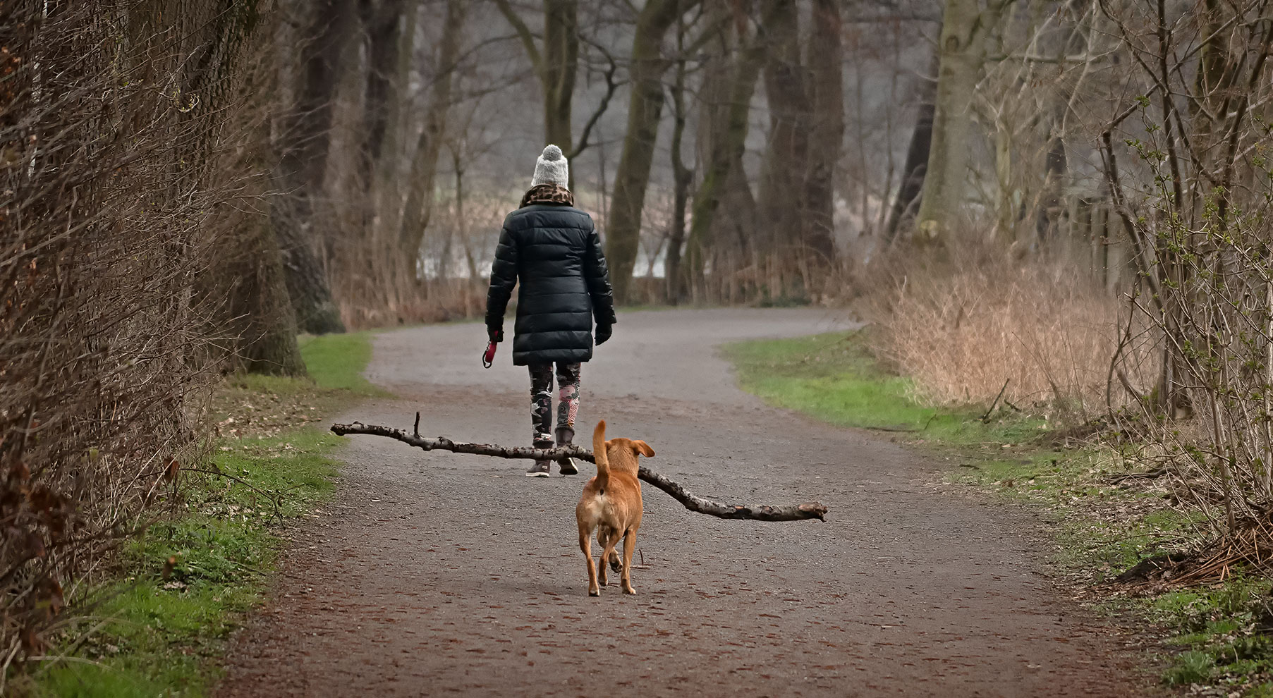 "Corona-Abstand-Regel-Hund"    . . .