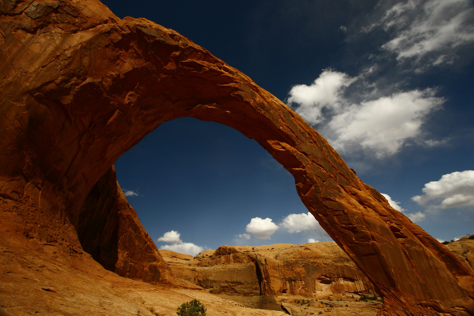 corona arch