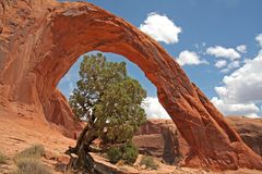 Corona arch, Moab